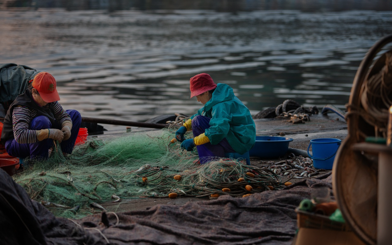 Essential Fishing Accessories for Beginners in the UK