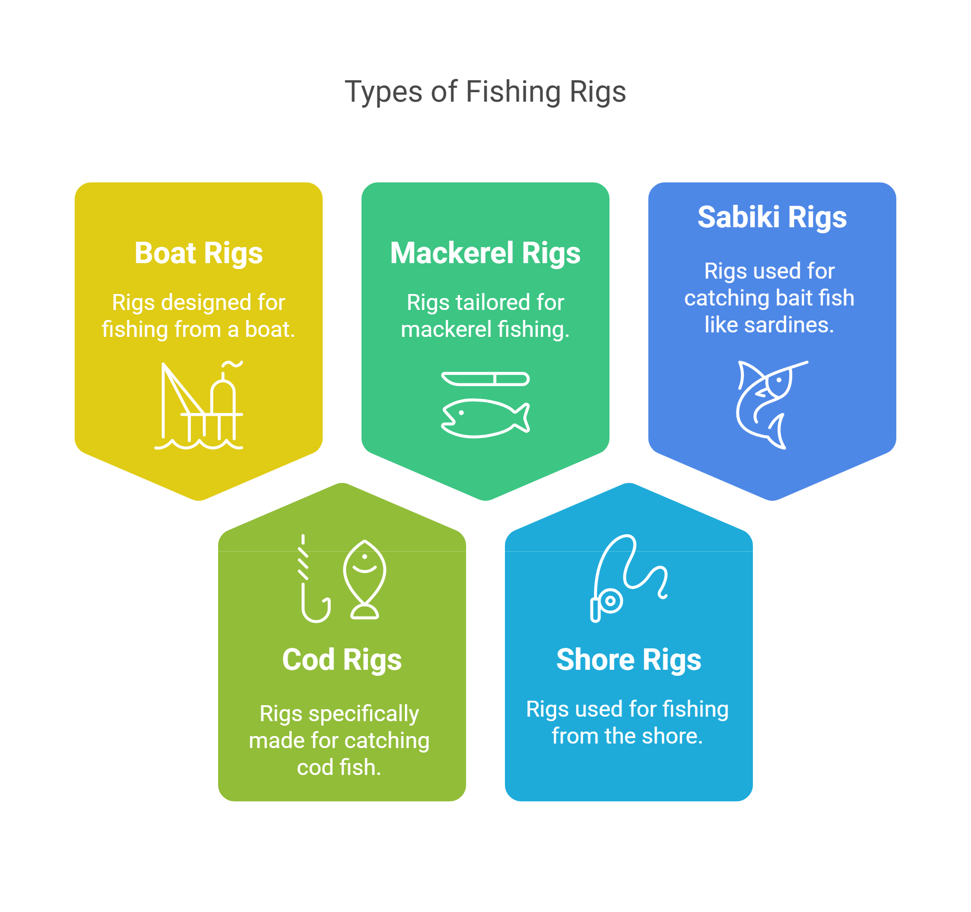 types of fishing rigs